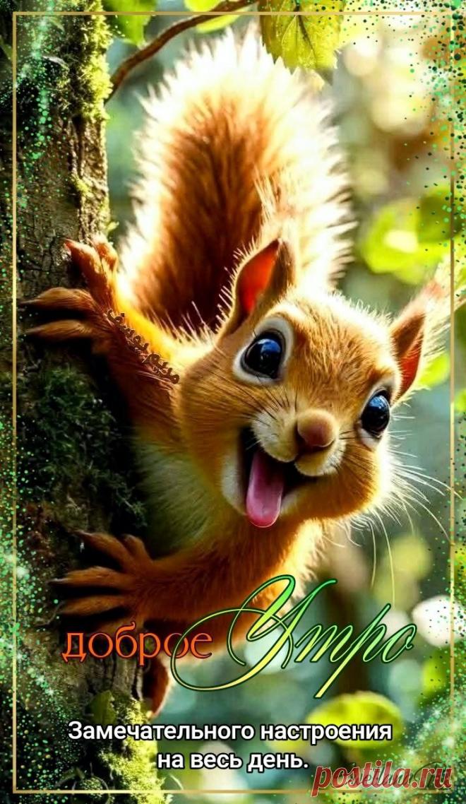 С добрым утром Привет Здрасте Добрый день