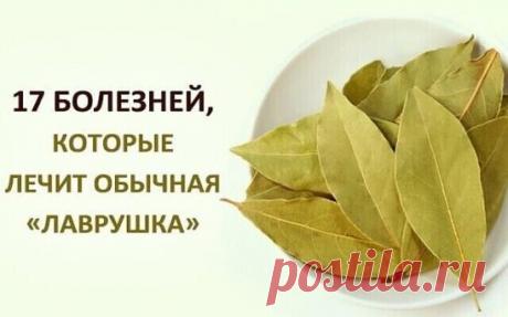 17 БОЛЕЗНЕЙ, КОТОРЫЕ ЛЕЧИТ ЛАВРОВЫЙ ЛИСТ
Расскажем о том, как лавр может помочь нашему организму.
 
1. Снимает напряжение и переутомление
Чтобы расслабиться, успокоиться, снять напряжение и привести в порядок нервы, достаточно поджечь лавровый лист в комнате, и в течение 15—20 минут вдыхать его аромат. Благодаря присутствующим эфирным маслам, лавровый лист обеспечивает необходимый расслабляющий и успокаивающий эффект, не вызывая при этом сонливости, чем «славится» большинство успокоительных лека