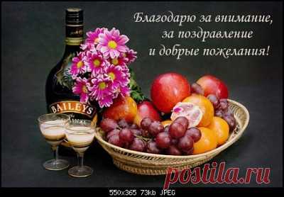 Профиль пользователя Людмила (Людмила)