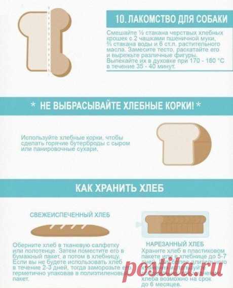 Вторая жизнь чёрствого хлеба: 10 доступных вариантов | ДОМАШНИЙ ОЧАГ