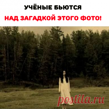 ужас настиг ее только через несколько дней. На всех четырех катушках получились отличные снимки, за исключением последнего кадра. На всех фотографиях была…