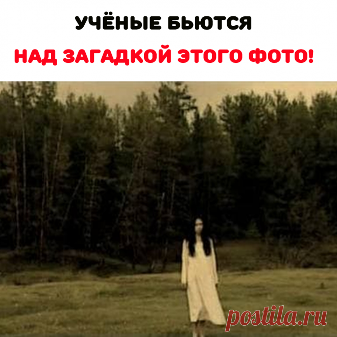 ужас настиг ее только через несколько дней. На всех четырех катушках получились отличные снимки, за исключением последнего кадра. На всех фотографиях была…