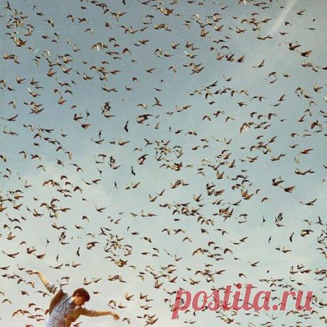 Хочу еще раз подчеркнуть: главное — помните, что вы сами решаете, достигнуть своей цели или нет, а поэтому вам не о чем беспокоиться. Всякий раз, как только засомневаетесь, напоминайте себе об этом. Я опять обращаю ваше внимание на плохую привычку — забывать и существовать полубессознательно. Новые знания легко забываются, а старые привычки сидят крепко. 

Помните всегда, что вы — хозяин своей судьбы. 

(Вадим Зеланд)