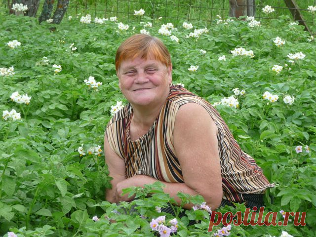 Зоя Винокурова
77 лет, Россия, Лихославль