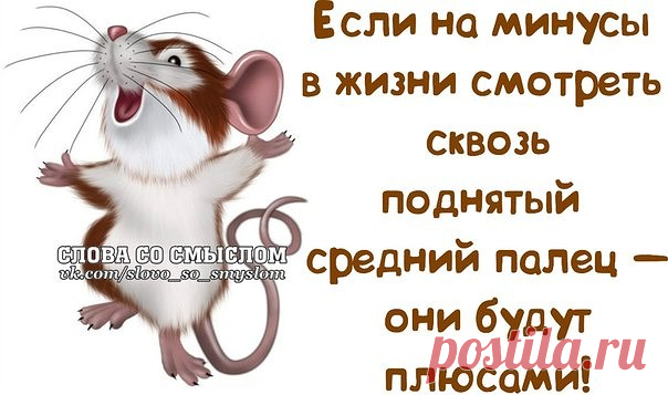 (1) Одноклассники