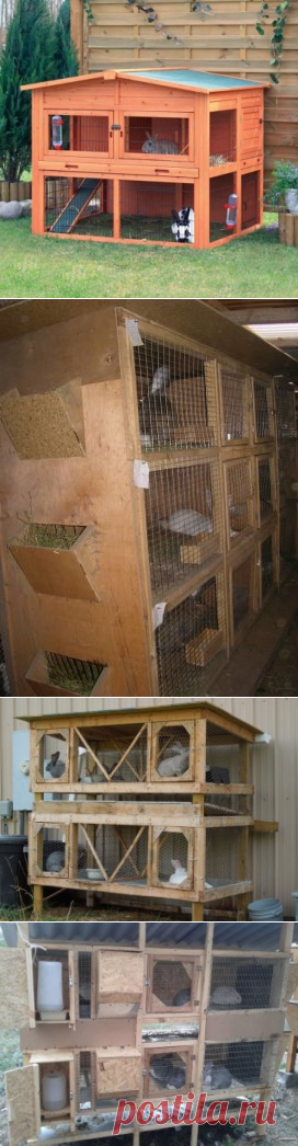 Какие клетки выбрать для кроликов
