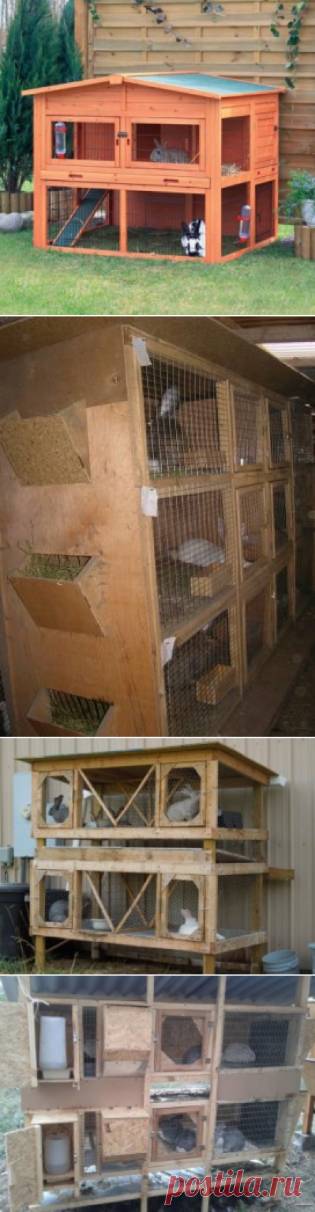 Какие клетки выбрать для кроликов