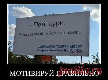Интересные новости