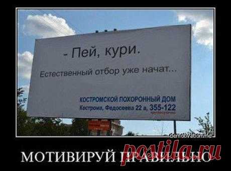 Интересные новости