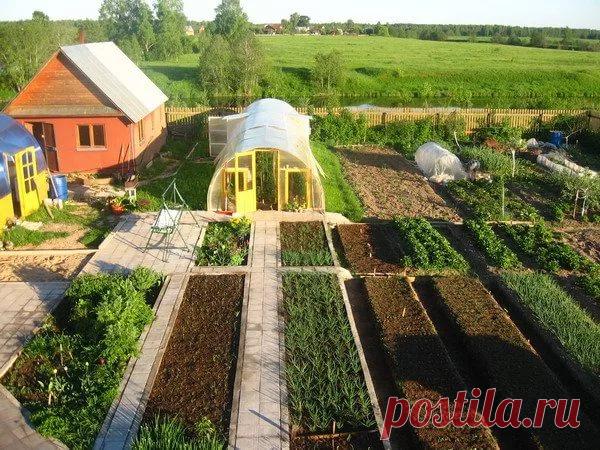 дизайн дачного участка 6 соток фото своими руками из подручных средств: 11 тыс изображений найдено в Яндекс.Картинках