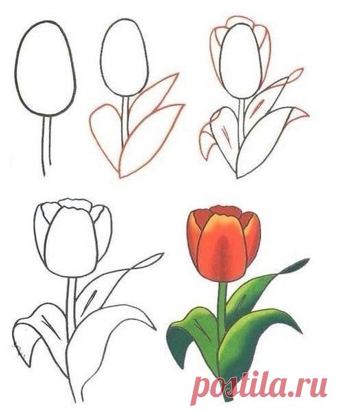 Учимся рисовать. Для деток.