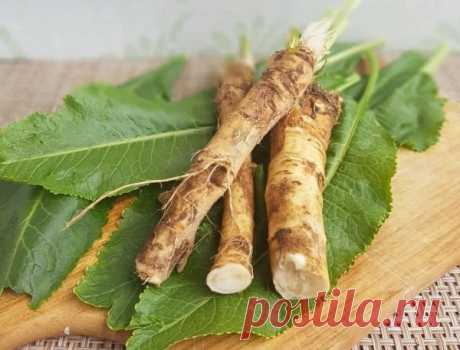 САМОЕ МОЩНОЕ БАБУШКИНО СРЕДСТВО ДЛЯ ПАМЯТИ! УЛУЧШАЕТ ЗРЕНИЕ, СЛУХ И ЯСНОСТЬ УМА ДАЖЕ В…