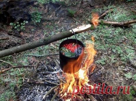 В поход.Часть 2.Обеззараживание воды.
ОЧИСТКА ВОДЫ С ПОМОЩЬЮ КРАСНОЙ РЯБИНЫ.
Способов обеззараживания воды существует великое множество. А вот наши предки не «заморачивались» проблемой очистки воды, так как пользовались одним, проверенн…