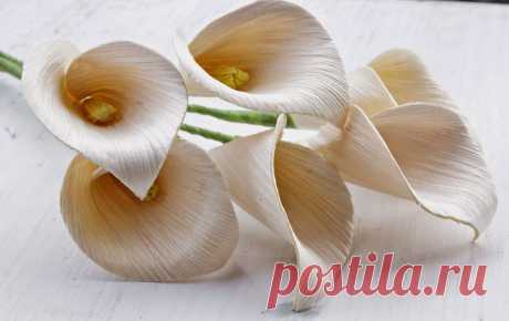DIY: How To Make Calla Lily Flowers Using Dried Corn Husks | Reduce. Reuse. Recycle. Replenish. Restore.