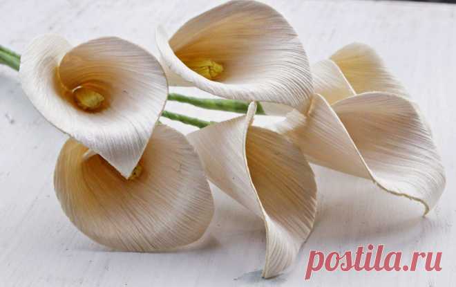 DIY: How To Make Calla Lily Flowers Using Dried Corn Husks | Reduce. Reuse. Recycle. Replenish. Restore.