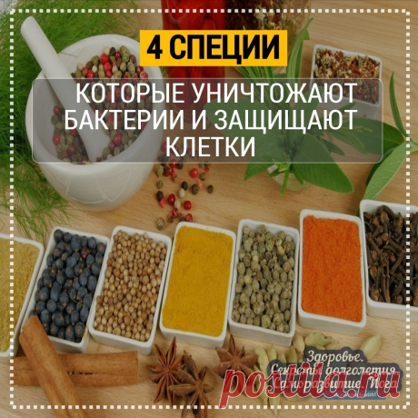 4специи, которые уничтожают бактерии и защищают клетки  
 
Специи уничтожают бактерий и защищают клетки  
 
"Мы теперь знаем, что специи действуют как мощные антибиотики, средства для разжижения крови, противораковые агенты, противовоспалительные факторы, регуляторы инсулина и антиоксиданты", - говорит физиолог Гарри Г. Прейс, доктор фило-софии из медицинского центра Джорджтаунского университета и один из ведущих исследователей в этой области, - "Травы и специи, регулярно ...