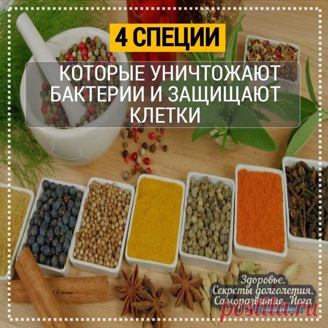 4специи, которые уничтожают бактерии и защищают клетки  
 
Специи уничтожают бактерий и защищают клетки  
 
