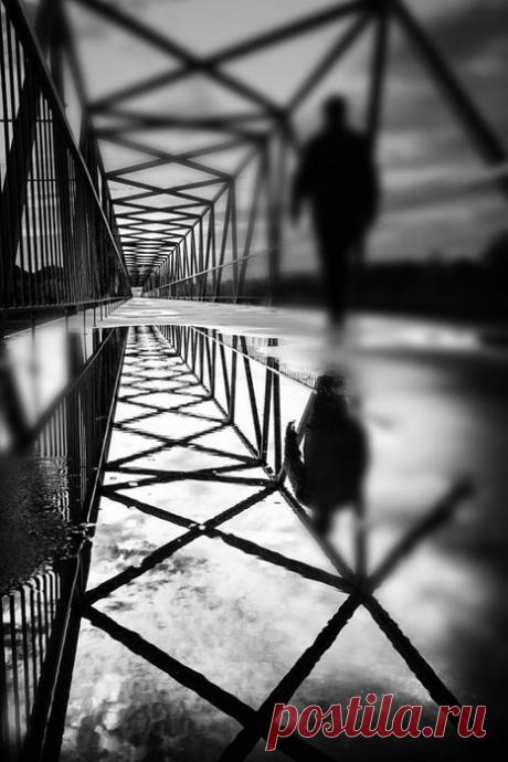 Каждый выбирает для себя