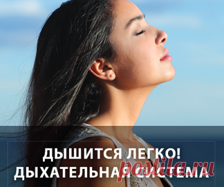 Здоровье с VISION