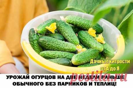 (50) Одноклассники