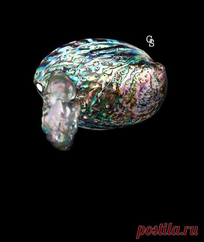 Жемчуг Абалон - несовершенная красота | GEM STONES | Яндекс Дзен