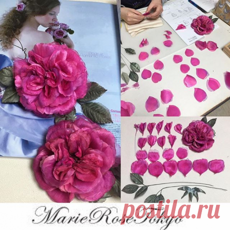 marie_rose_tokyo • View Yoko Asai🌺 ( @marie_rose_tokyo )'s Instagram Account