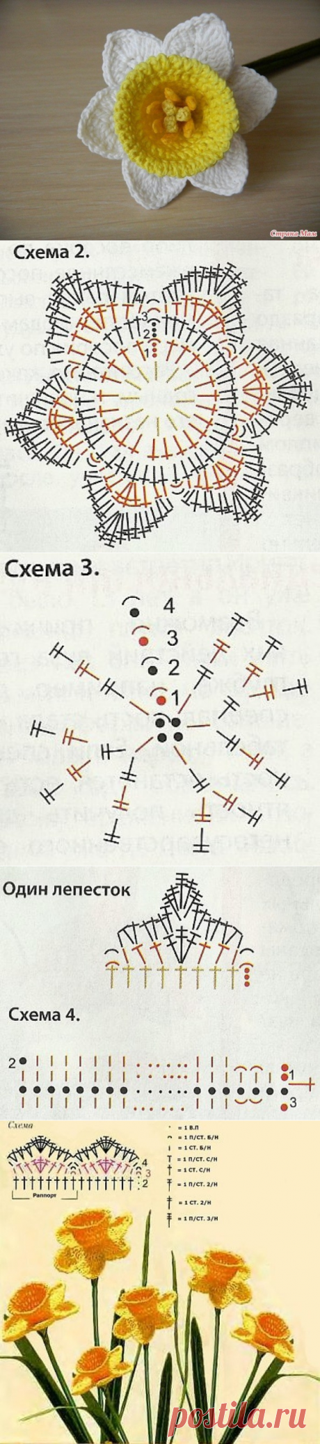 Вязаные нарциссы