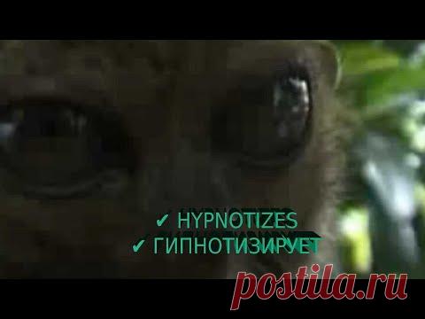 Я ВАС ГИПНОТИЗИРУЮ