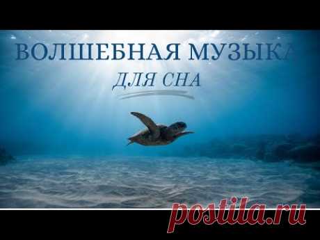 Волшебная музыка для сна. Подводный мир. Черепахи. Манты. Relaxing music.