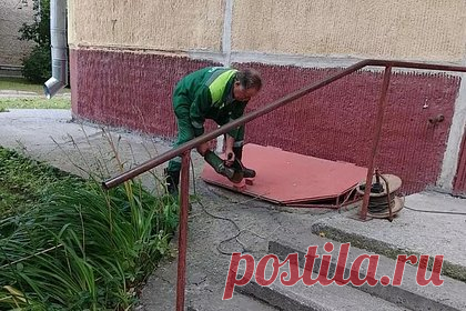 В Академгородке местные жители организовали операцию по спасению ежа