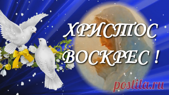 Это короткое музыкальное видео поздравление с Пасхой Христовой, это видео открытка. Вы можете поздравить от себя Ваших друзей, родных и близких, коллег с этим великим и светлым Днем Пасхи. Светлой пасхи Вам друзья! Пасхальные поздравления для Вас! #спасхой !
С Праздником Светлой Пасхи! короткое музыкальное поздравление с Пасхой в прозе
Делитесь этим видео с друзьями: https://www.youtube.com/watch?v=N9vCDq3z5Vg