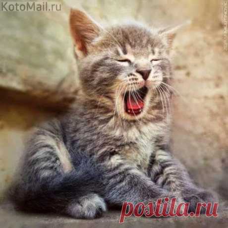 Доброе утро!