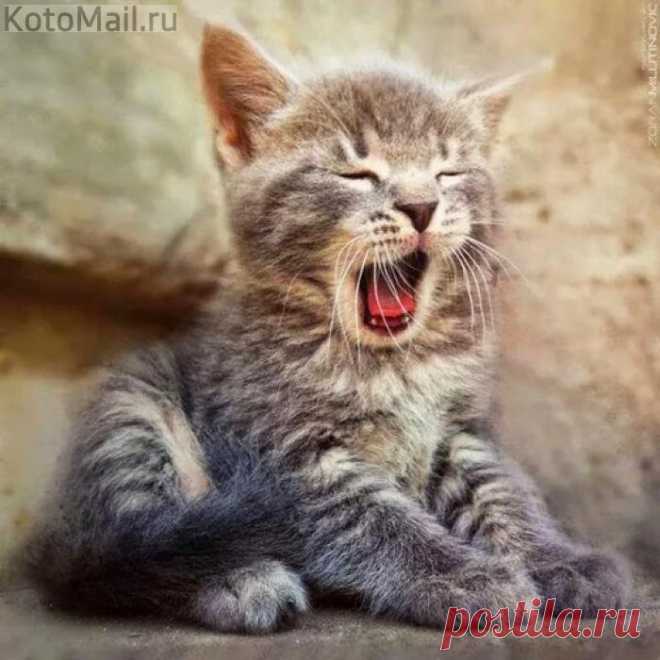 Доброе утро!