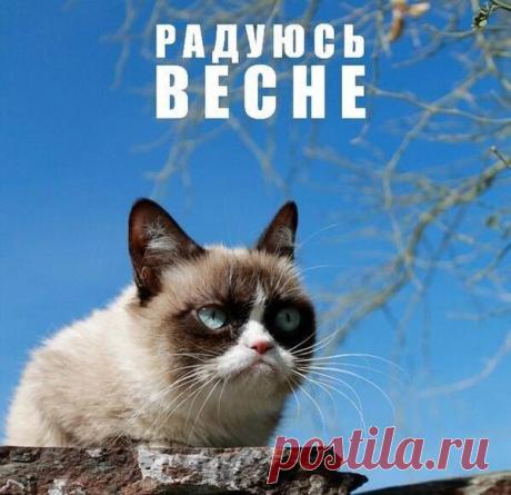 Настроение: