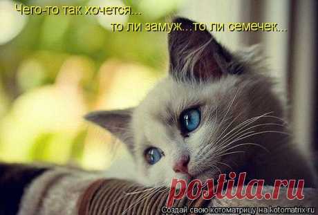 Чего-то так хочется