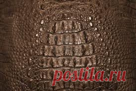 Имитация крокодиловой кожи из полимерной глины или холодного фарфора..