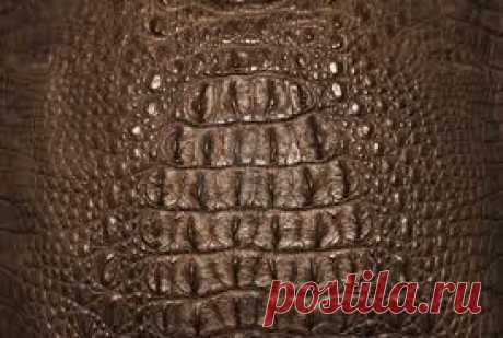 Имитация крокодиловой кожи из полимерной глины или холодного фарфора..