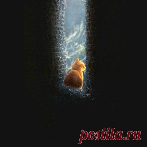 Разница между оптимистом и пессимистом: у одного день сменяет ночь, у другого - наоборот.