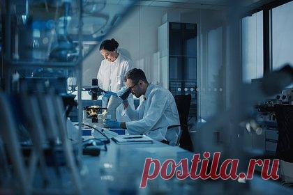 Создан новый метод получения стволовых клеток. Ученые Института медицинских исследований Гарри Перкинса, Университета Западной Австралии и других научных организаций Австралии разработали новый метод программирования клеток человека для получения стволовых клеток. TNT-перепрограммирование имитирует перезагрузку эпигенома клетки.