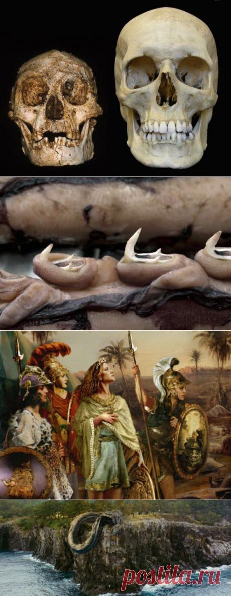 Мифы, которые существовали в самом деле | Алтарь Инитаксы