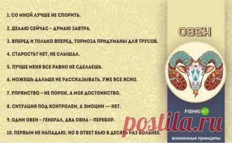 (3) Одноклассники