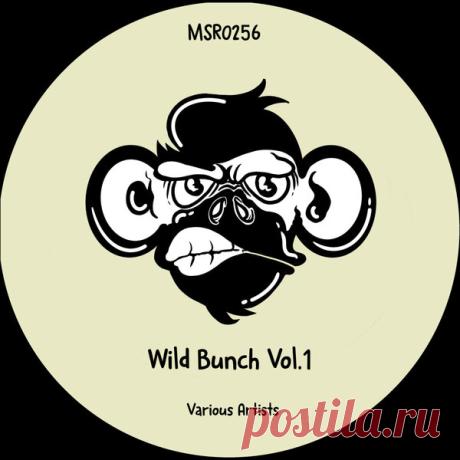 VA - Wild Bunch Vol.1 MSR0256 » MinimalFreaks.co