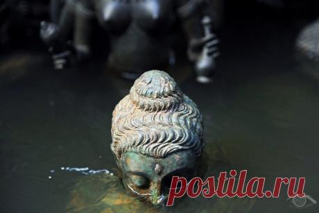 Ваше время ограничено, не тратьте его, живя другой жизнью. Не попадайтесь на крючок вероучения, которое существует на мышлении других людей. Не позволяйте взглядам других заглушать свой собственный внутренний голос. И очень важно иметь мужество следовать своему сердцу и интуиции. Они, так или иначе, уже знают, что вы действительно хотите сделать. Все остальное -  второстепенно. / Слабый пол!