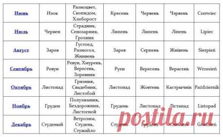 (1) Одноклассники