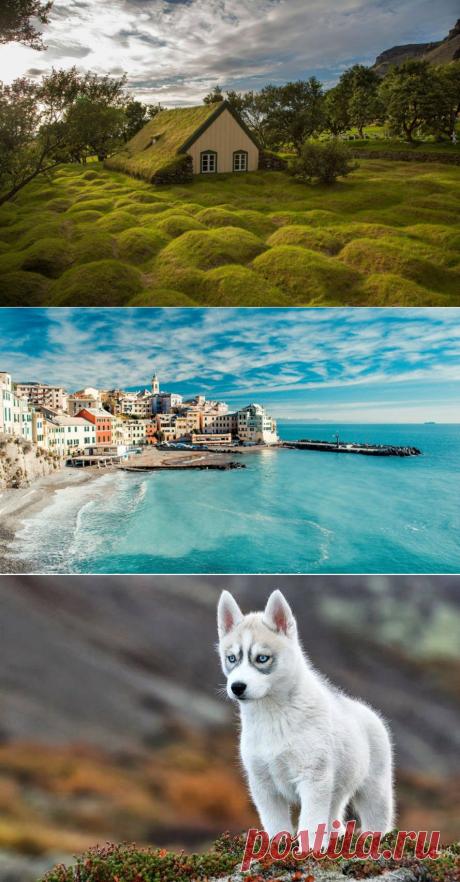 Лучшие фотографии со всего света - Удивительные фотографии со всего света