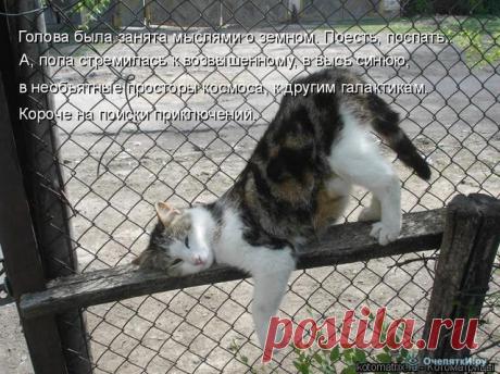 РАЗДВОЕНИЕ ЛИЧНОСТИ