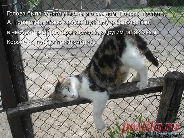 РАЗДВОЕНИЕ ЛИЧНОСТИ