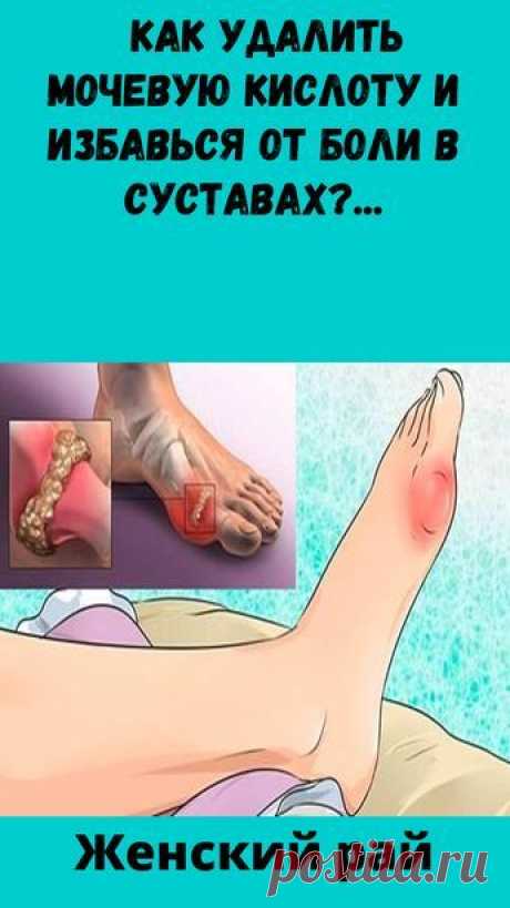 Образованная Сова