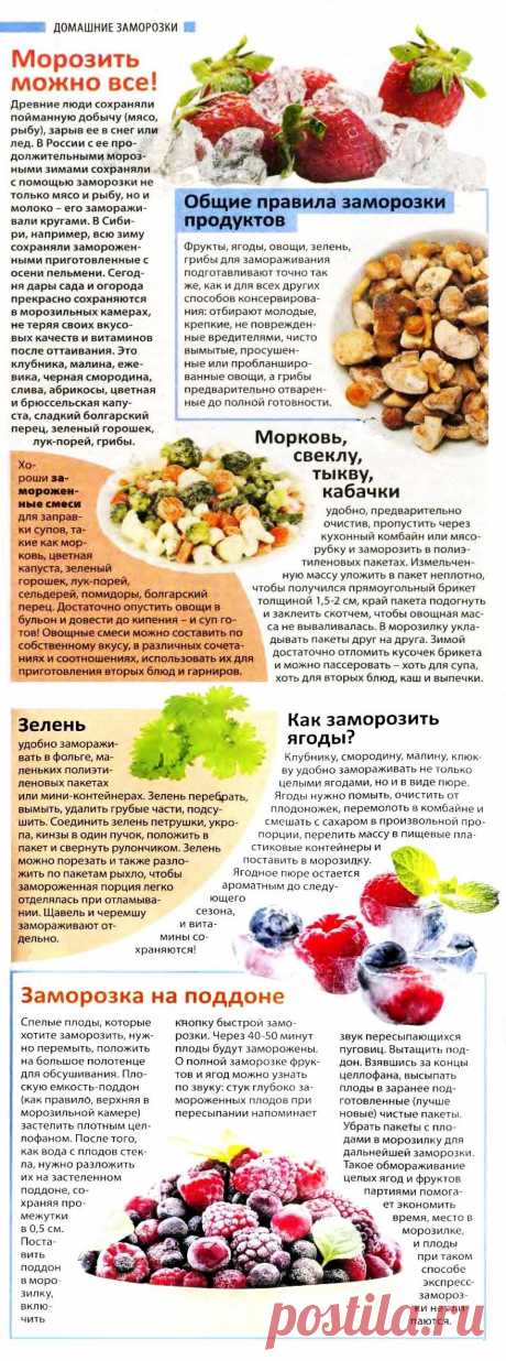 Домашние заморозки