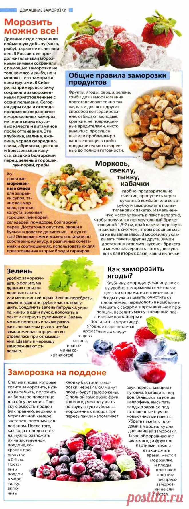 Домашние заморозки